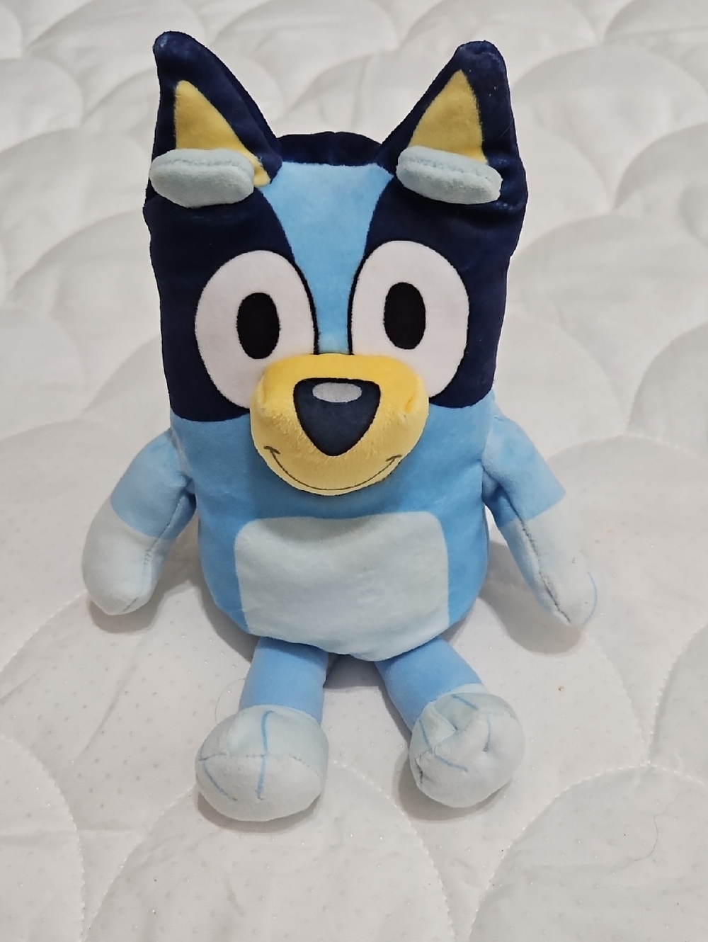 Bluey Plush Toy